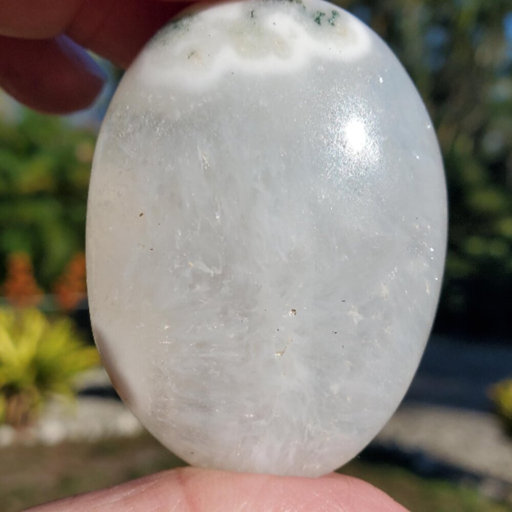 Moss Agate Palm Stone (XY10)